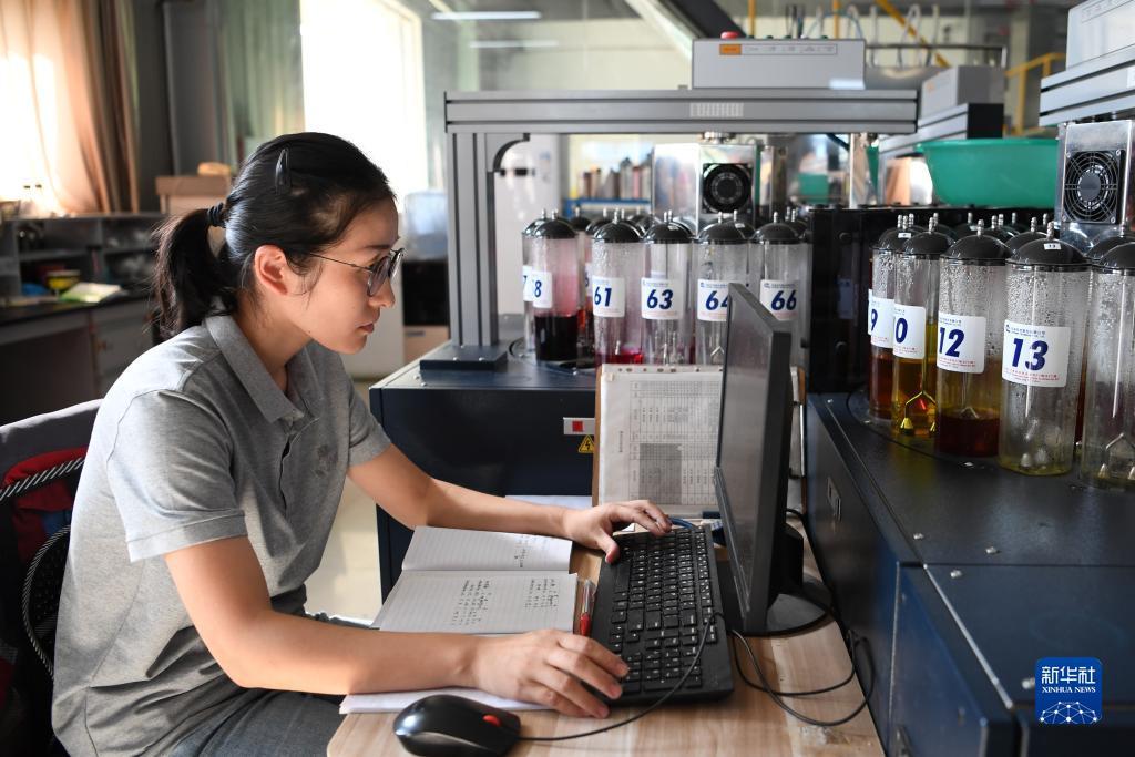 金蟾捕鱼上下分